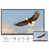 Écran interactif ViewSonic ViewBoard IFP6550 65″ – UHD 4K